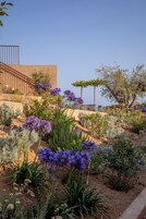 Un jardín con diversas plantas y flores, un banco de madera y un muro de piedra.
