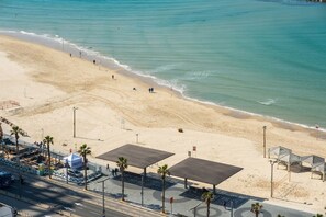 A beach with a road, palm trees, and a covered area.
