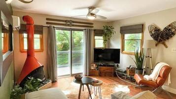 Smart TV, fireplace, books, music library