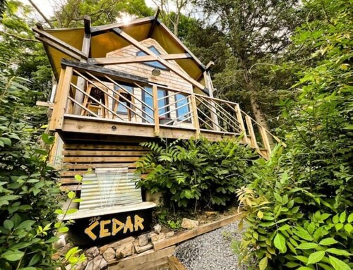 +the Cedar+ @ Camp Potomac Peak