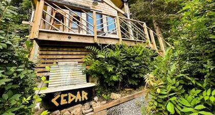 +the Cedar+ @ Camp Potomac Peak