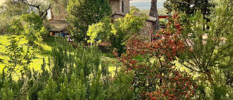 المنطقة المحيطة بالمنشأة