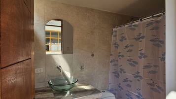 Shower, towels, soap, toilet paper