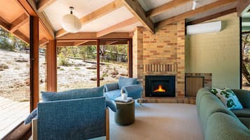 Smart TV, fireplace, books
