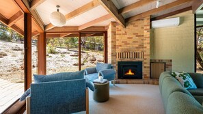 Smart TV, fireplace, books