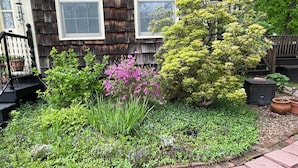 A garden with various plants and flowers, a brick pathway, and a wooden house with windows and a porch.