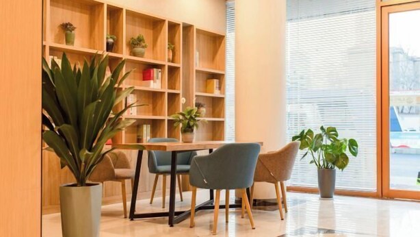 Un interior moderno con una estantería de madera, una mesa de comedor con sillas y plantas en macetas.