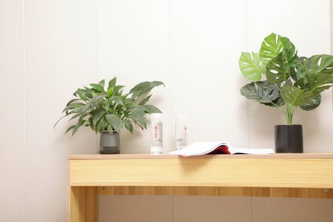 Uma mesa de madeira com duas plantas em vasos e um livro.