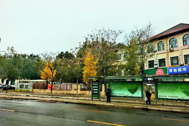 A bus stop with a shelter, a building with a sign, and trees in the background.