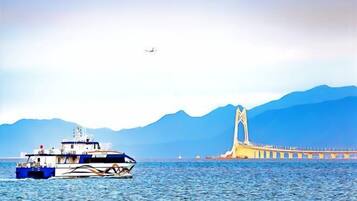 A ferry boat on a body of water with a bridge in the background.