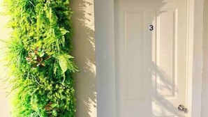 Un pasillo con un muro vertical de jardín y una puerta blanca con el número 3.