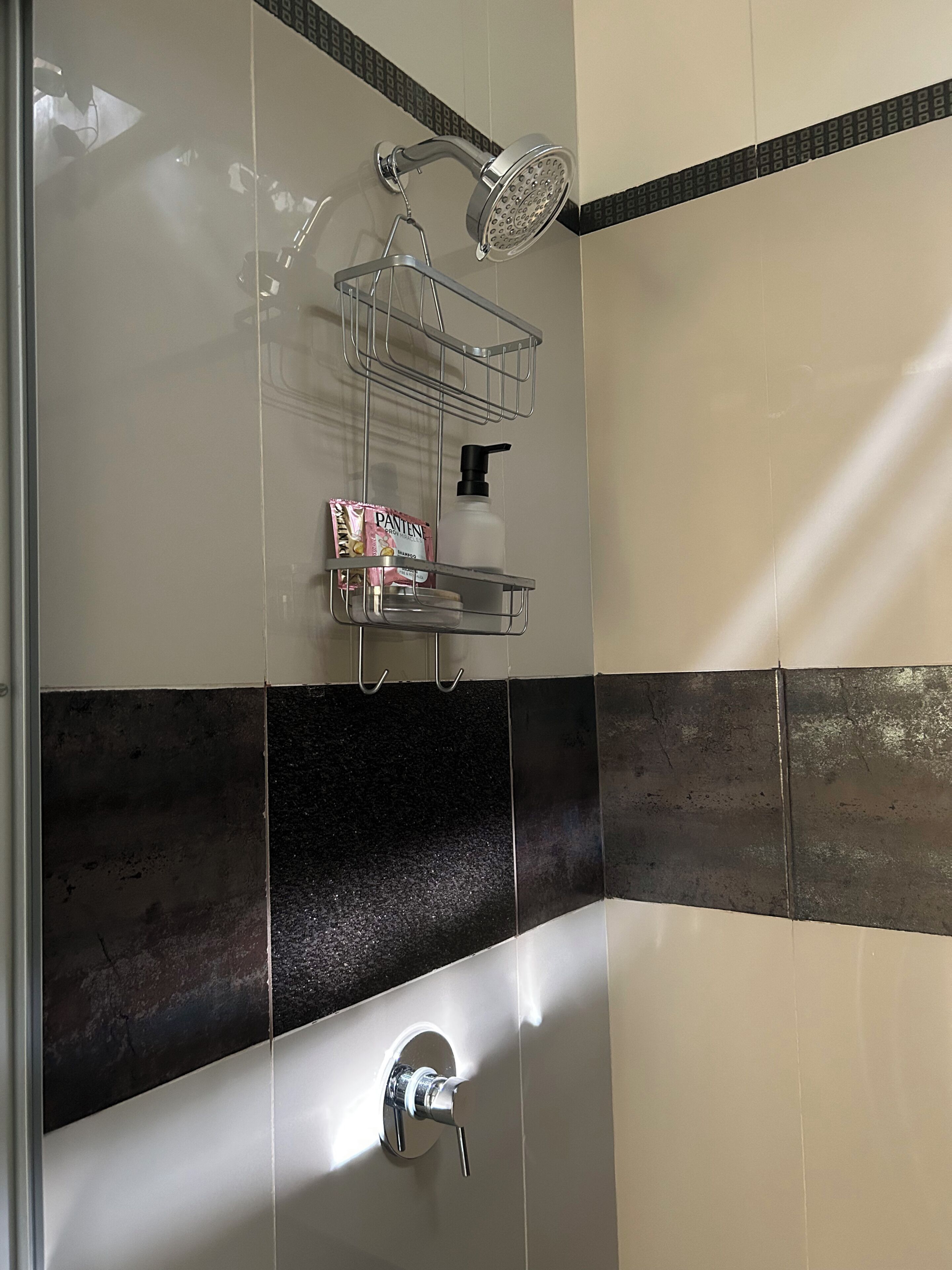 A shower with a handheld showerhead, a soap dispenser, and a soap bar on a metal shelf.