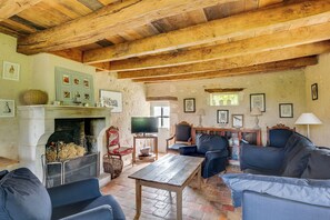 TV, fireplace, DVD player, books