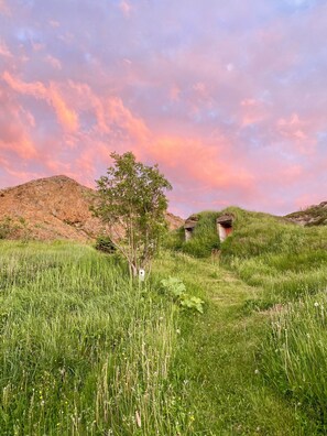 A grassy landscape with a tree and a small structure in the distance.