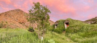 Pumpkin House ~ the curiously curated guesthouse