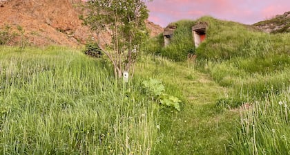 Pumpkin House ~ the curiously curated guesthouse