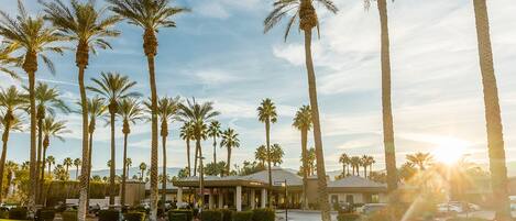 Terrein van de accommodatie