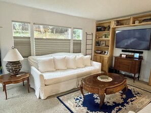 Una televisión, una chimenea