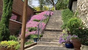 A set of stone steps leading up to a wooden building with a sloped roof.