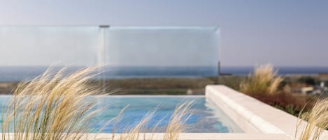 A swimming pool with a view of the ocean, surrounded by tall grass.