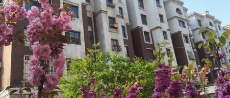 A row of multi-story residential buildings with balconies, surrounded by flowering trees.