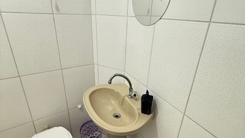 Suite | Bathroom | Shower, hair dryer, toilet paper