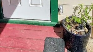 Una puerta blanca con detalles verdes, un cartel que dice 'WELCOME' en la pared y una planta en maceta en el porche.