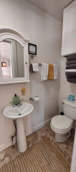 Hair dryer, towels, shampoo