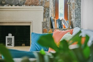 Télévision, cheminée, livres