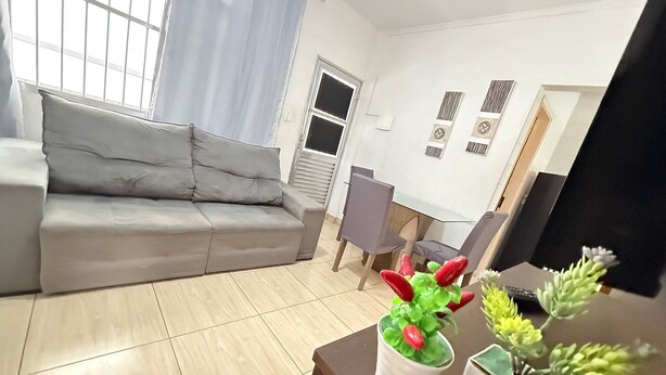 A living room with a grey sofa, a coffee table with decorative plants, and a dining area with chairs and a table.