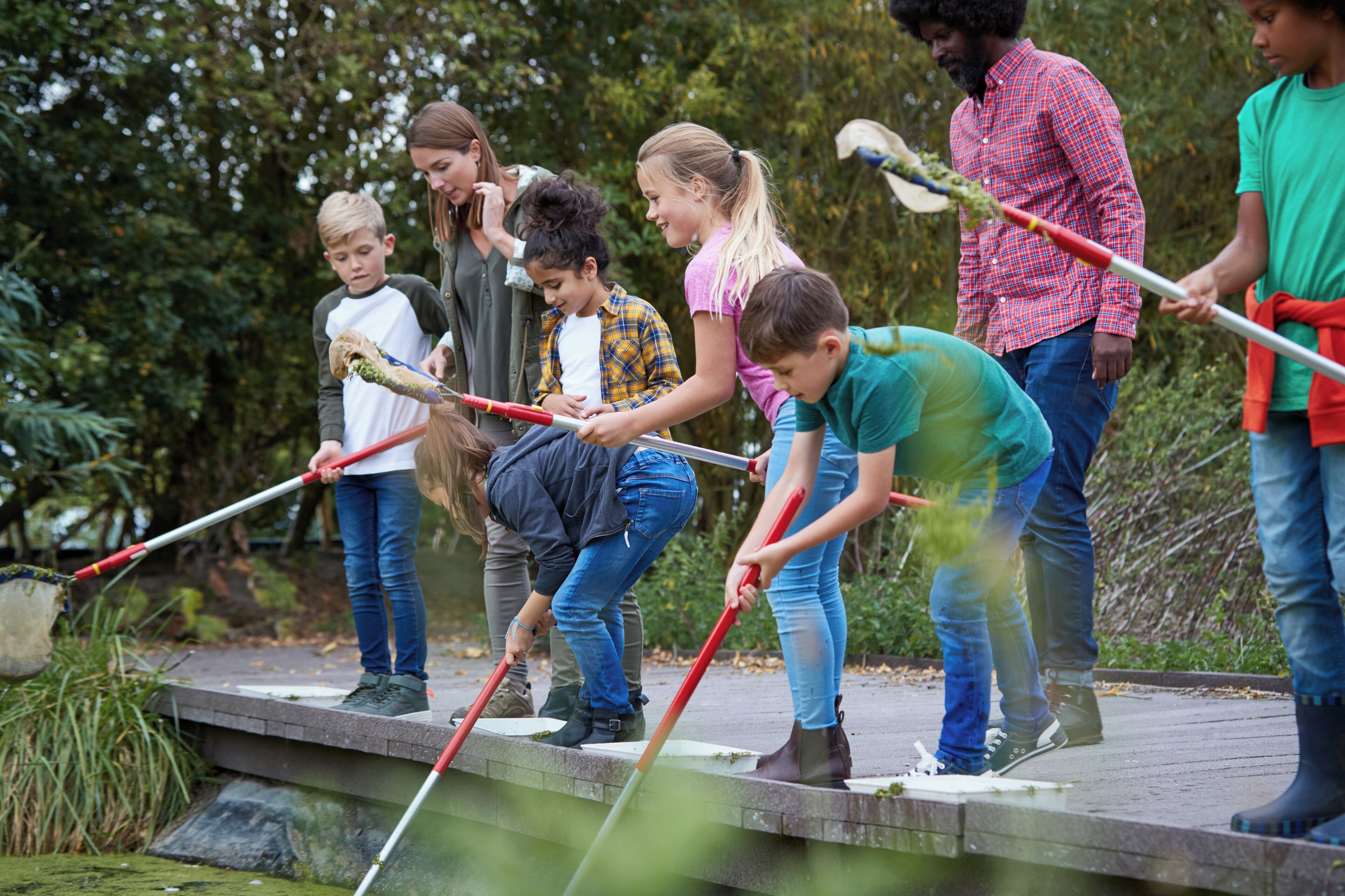 A group of people engaged in an outdoor activity on a wooden platform surrounded by greenery.