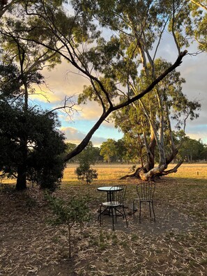 屋外ダイニングエリア