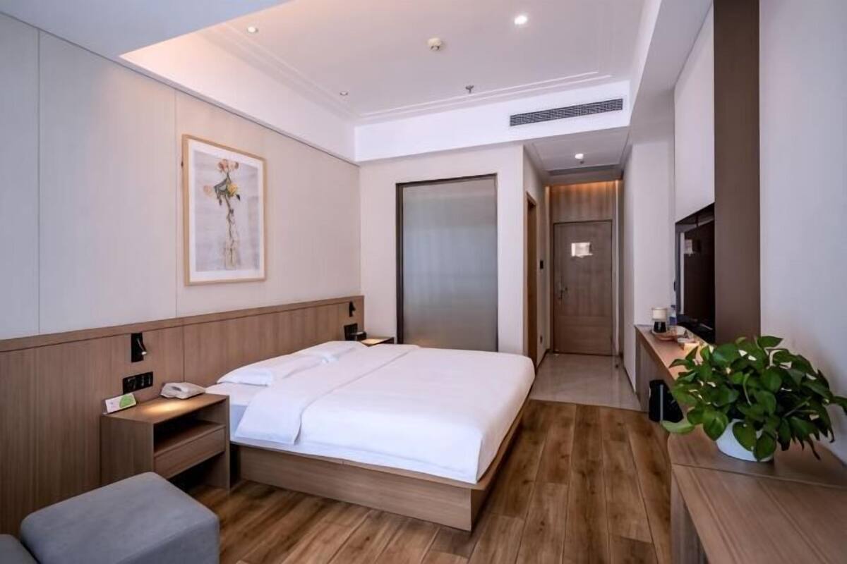 A modern hotel room with a wooden bed, bedside table, nightstand, and a potted plant.