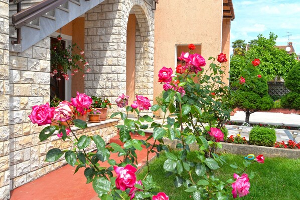 Detalle exterior