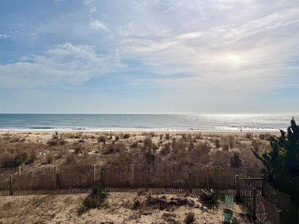 On the beach