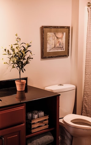 Shower, hair dryer, towels, toilet paper