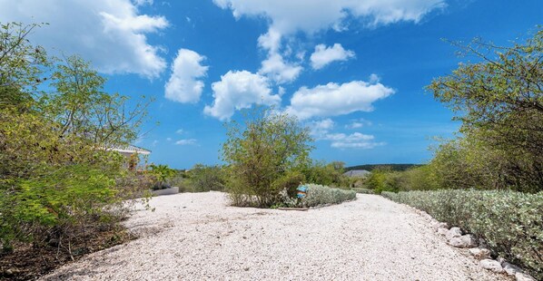 A gravel path leading through a garden with various plants and trees, a building with a tiled roof in the background, and a clear blue sky with clouds. - Villa Kas Di Lotte, 3-bedroom villa in marvelous Coral Estate with AC, WiFi (Sint Willibrordus)
