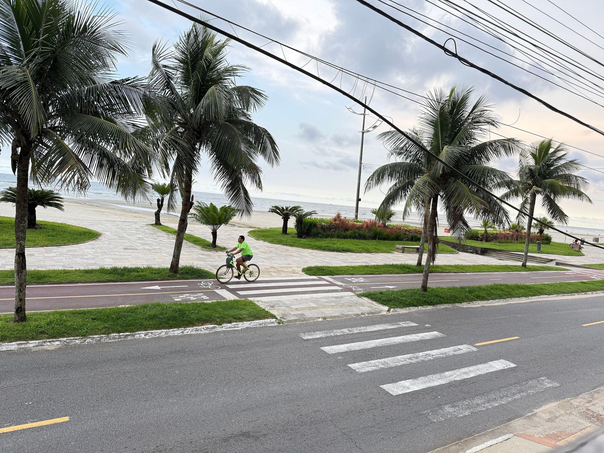 Uma trilha pavimentada com palmeiras e um ciclista.