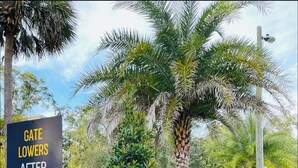 A sign indicating gate lowers after each vehicle, a speed limit sign, and a well-maintained garden with various plants and a palm tree. - Get 10% off on weekly stay or 15% on monthly stay. Fully equipped cabin. CR. Fl (Crystal River)