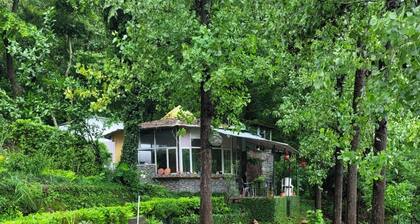 amã Stays & Trails Writer's Hill Nahan, Sirmaur Himachal