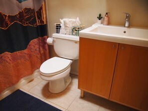 Hair dryer, towels, soap, toilet paper
