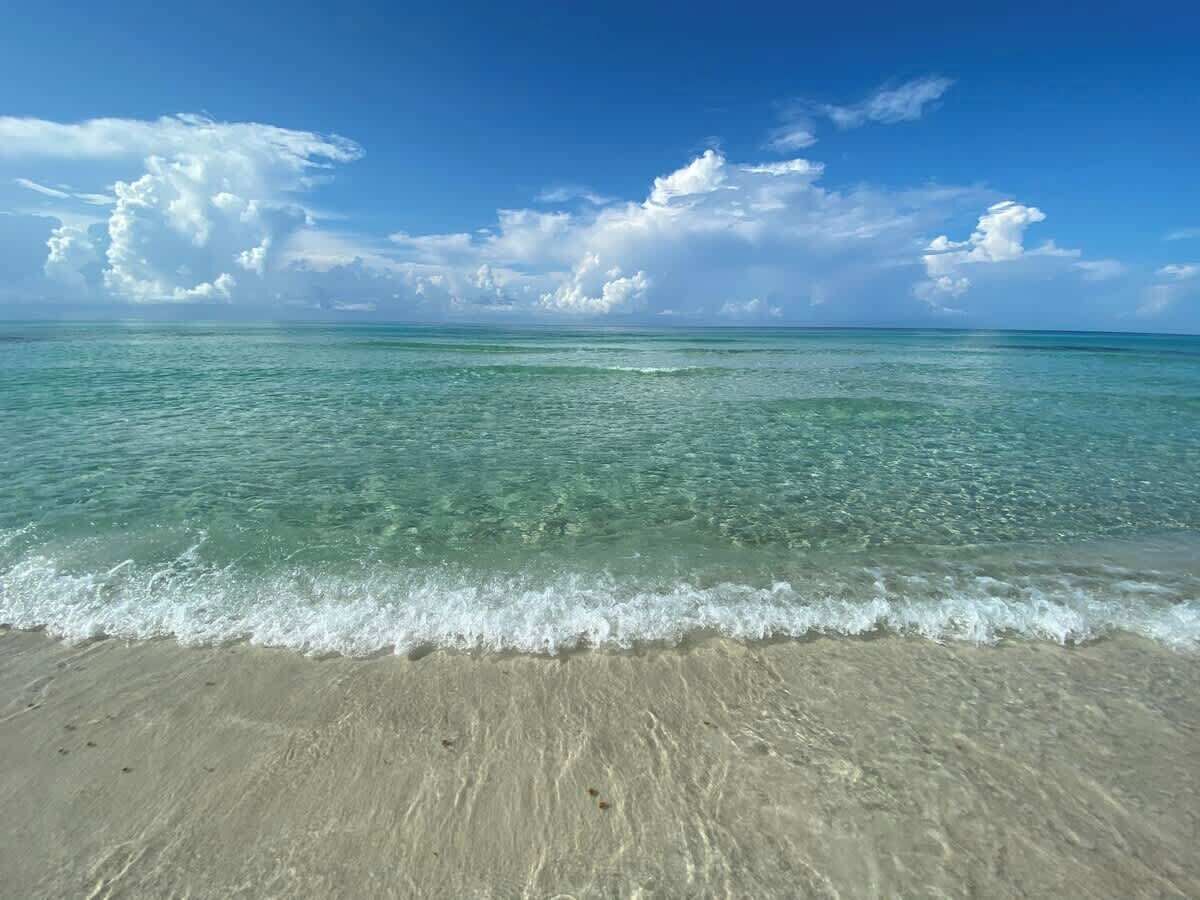 بالقرب من الشاطئ