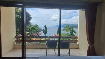 Superior Room | View from room