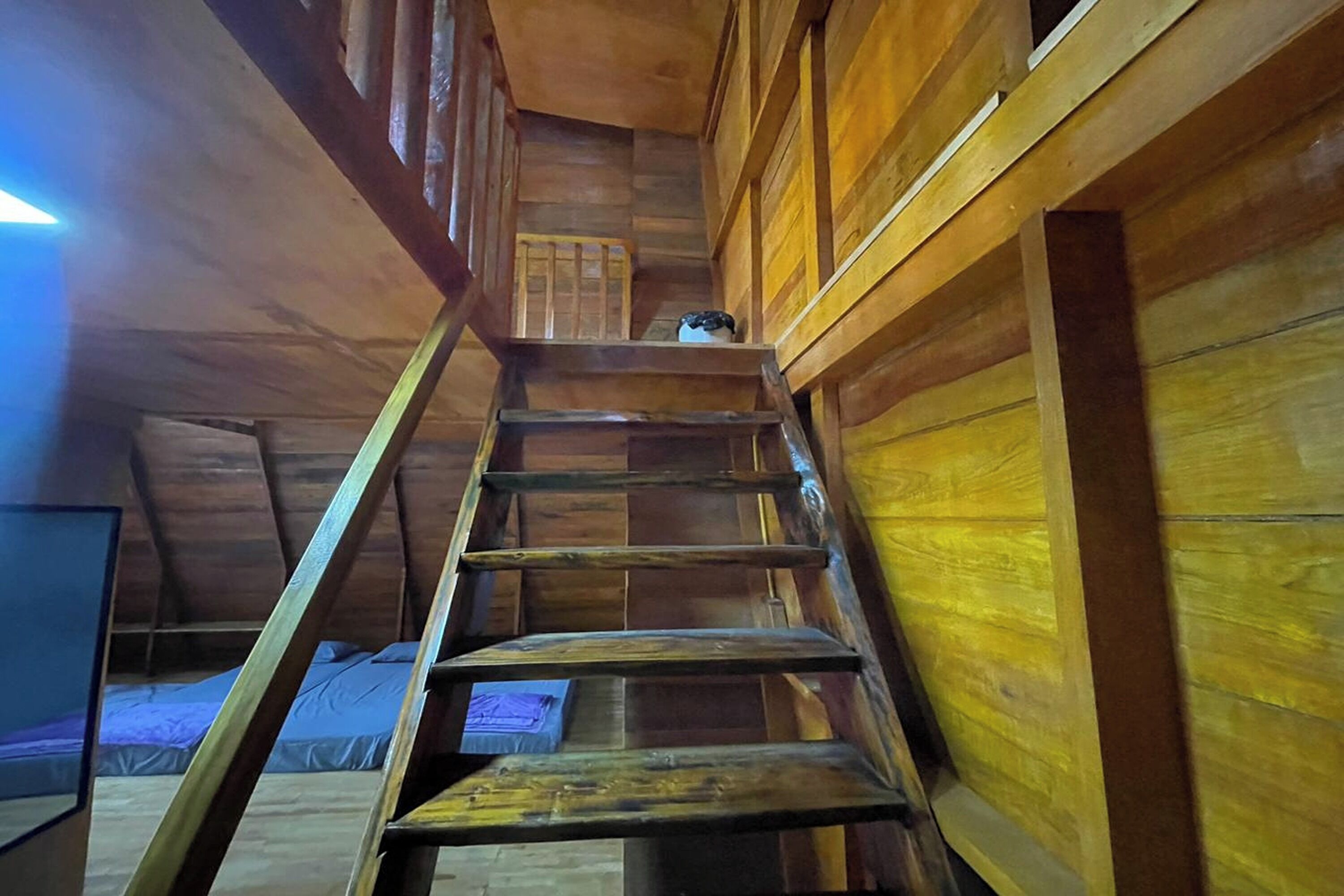 Kamar