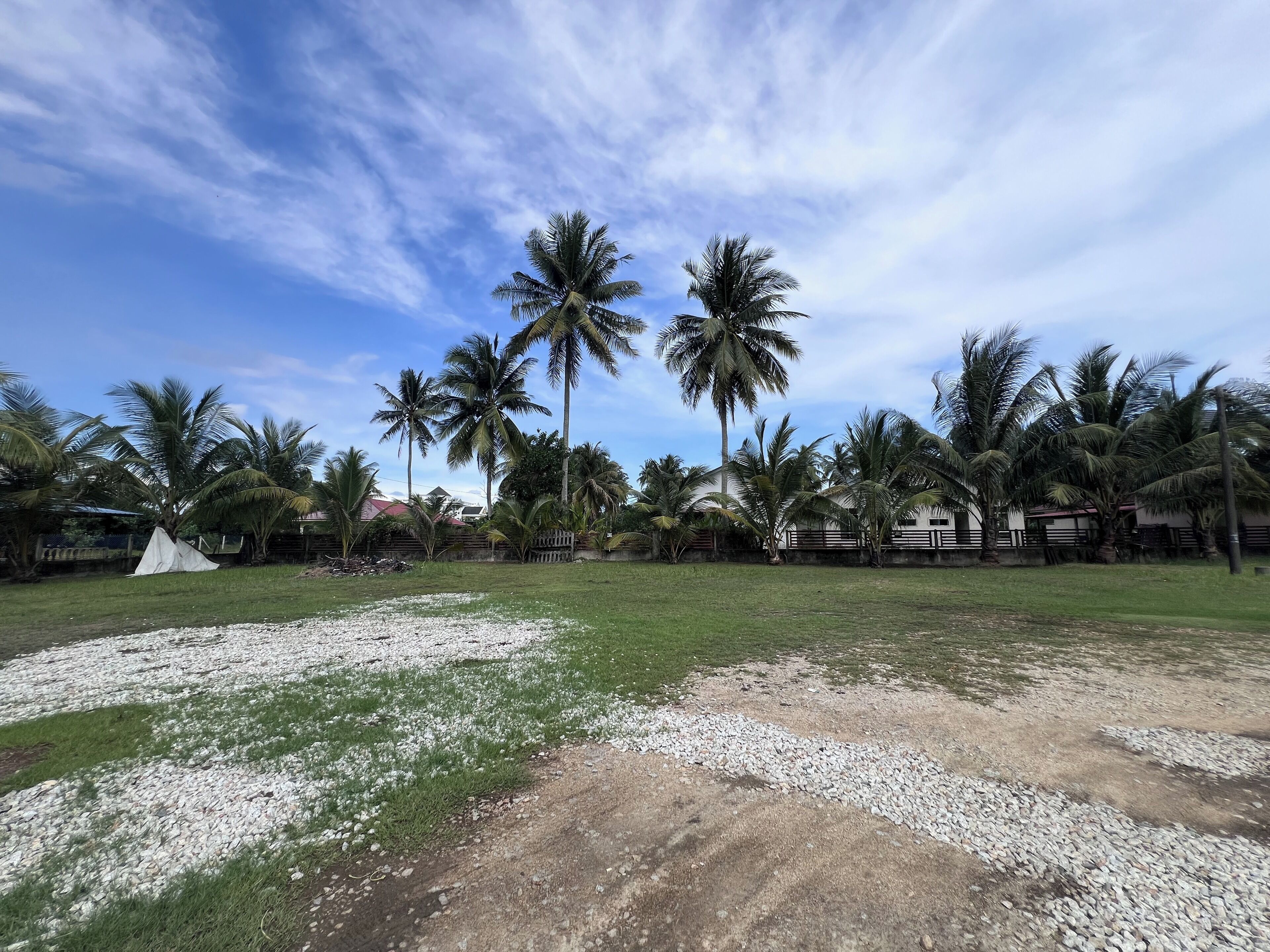 A grassy area with palm trees and a white tent.