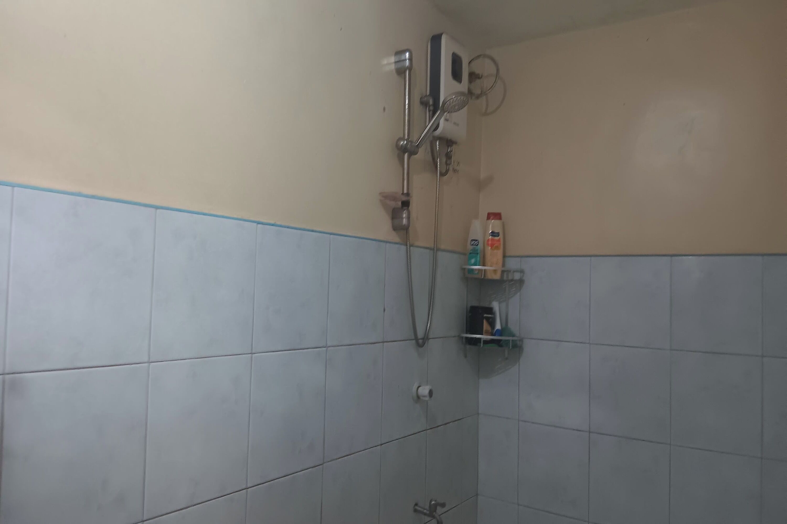 Ducha y cabezal de ducha tipo lluvia