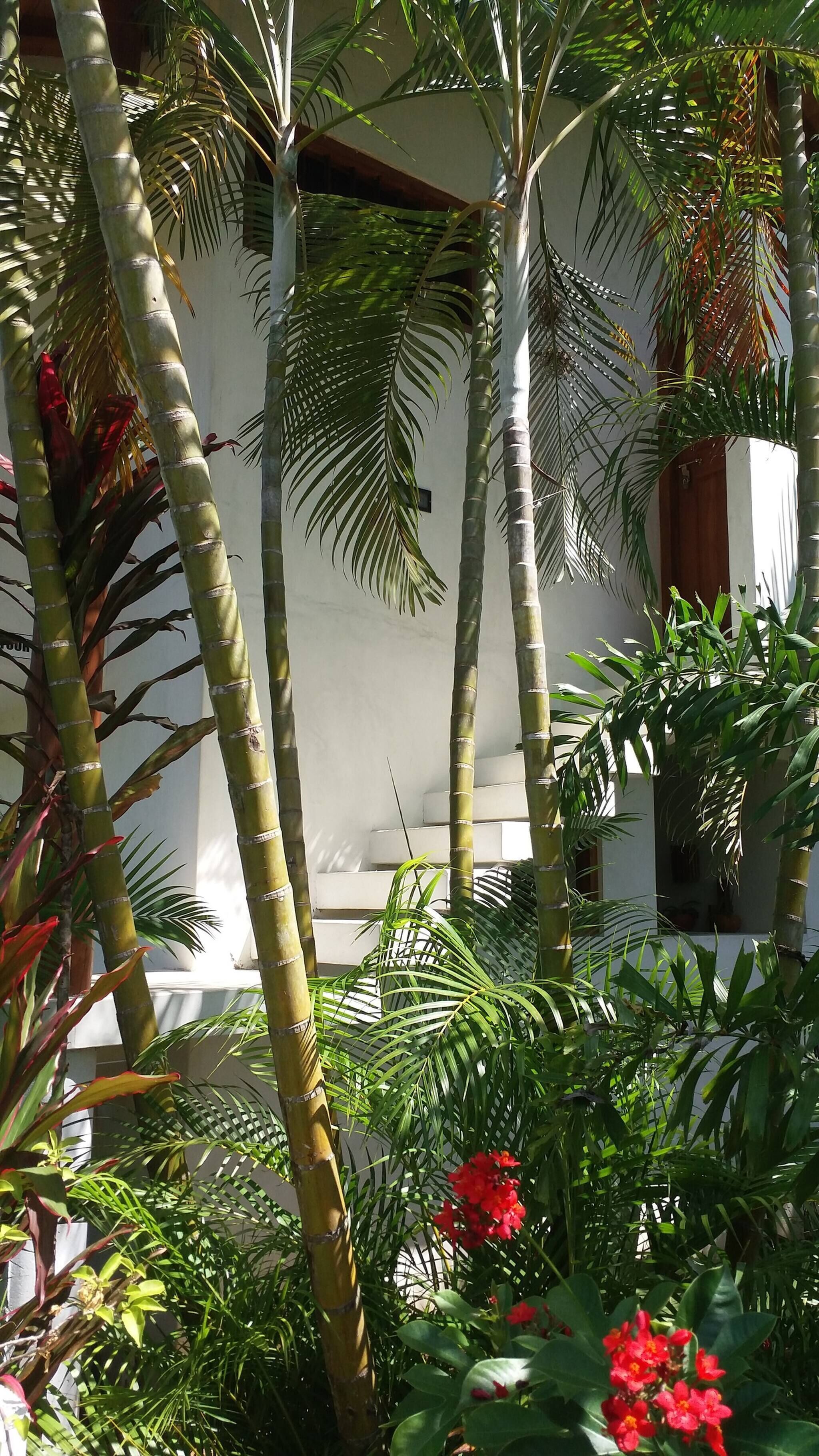Villa, 2 Bedrooms, Smoking, Private Pool | Property grounds