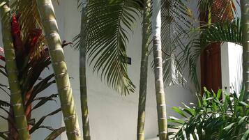 Villa, 2 Bedrooms, Smoking, Private Pool | Property grounds