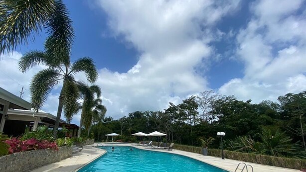 Ein Swimmingpool mit Liegestühlen und Sonnenschirmen, umgeben von Palmen und Grünpflanzen.