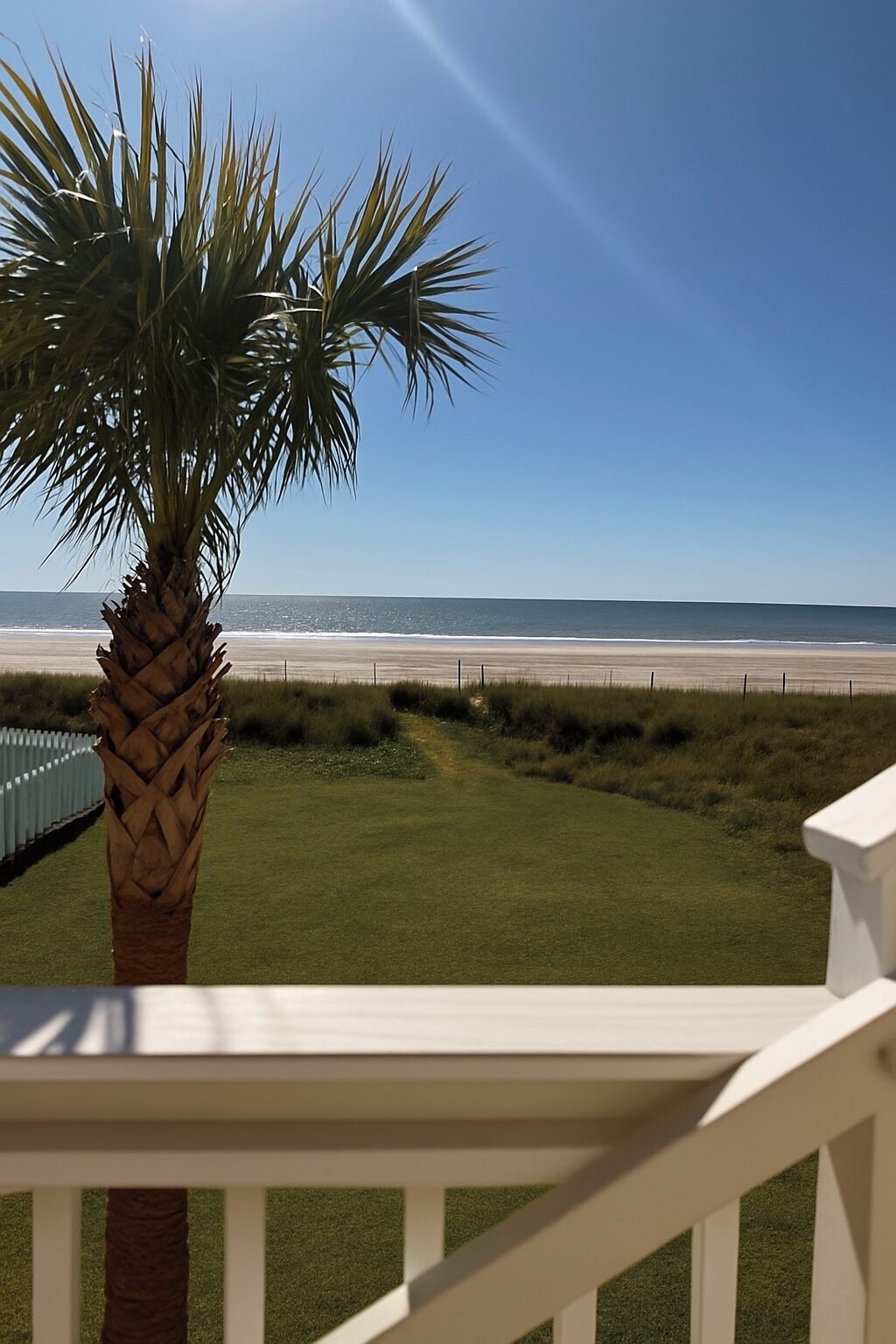 Una palmera en una terraza con vista a una playa, bajo un cielo despejado.
